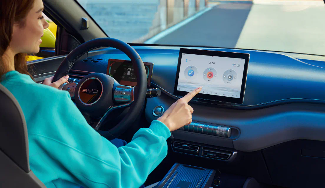 byd dolphin surf connectivity 01 l