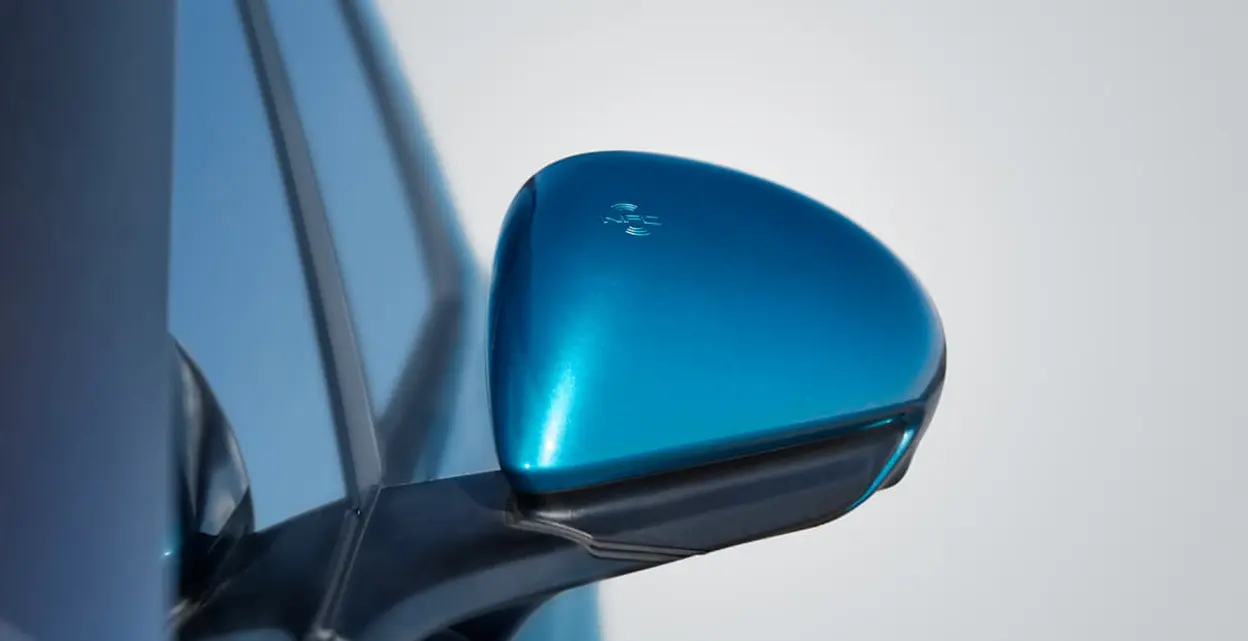 Dolphin connectivity 02 xl