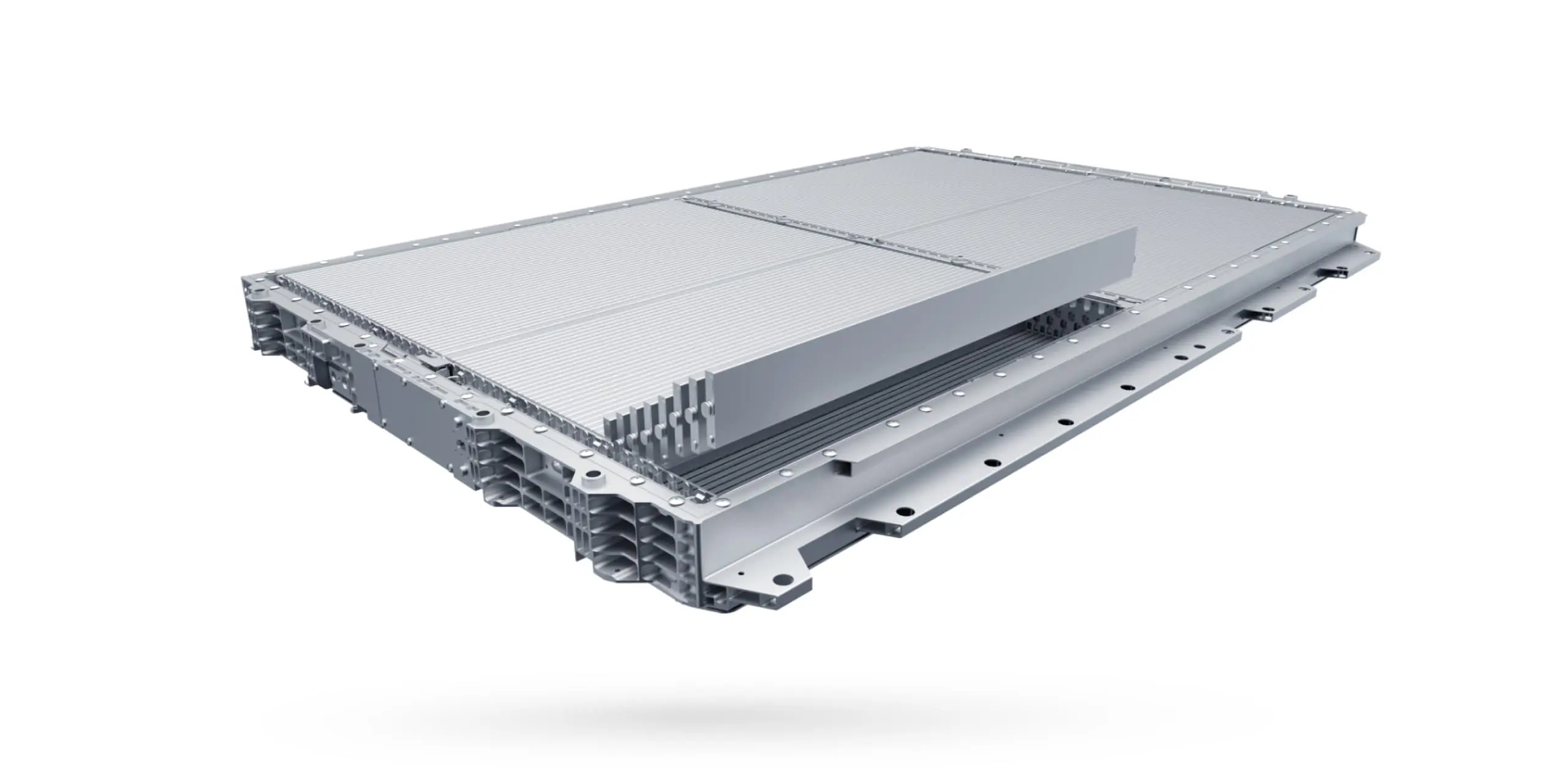 dolphin battery 01 xl