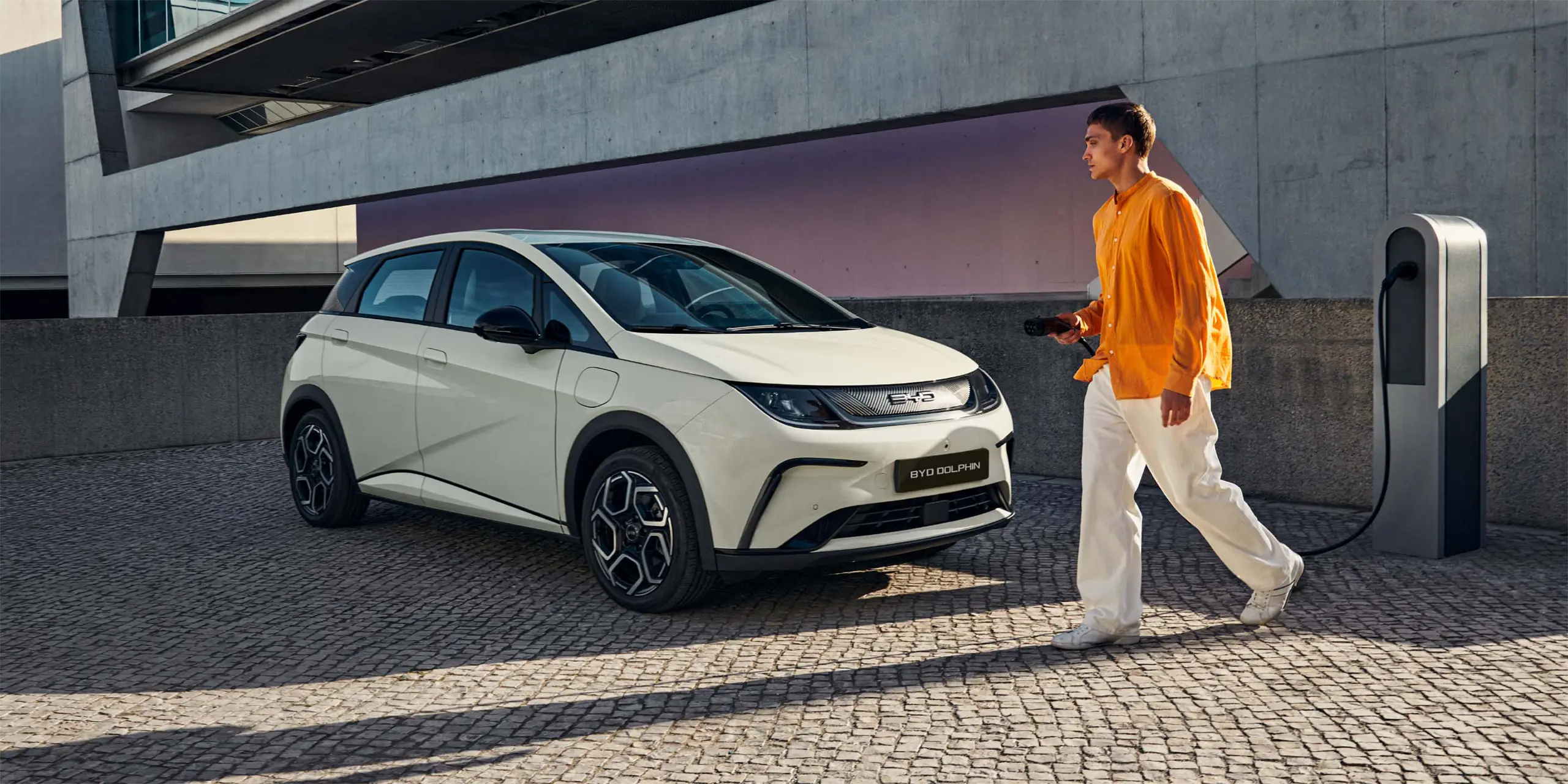 dolphin charging 01 xl