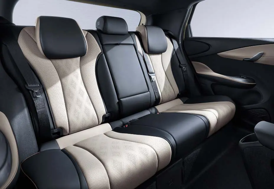 dolphin interior 01 xl