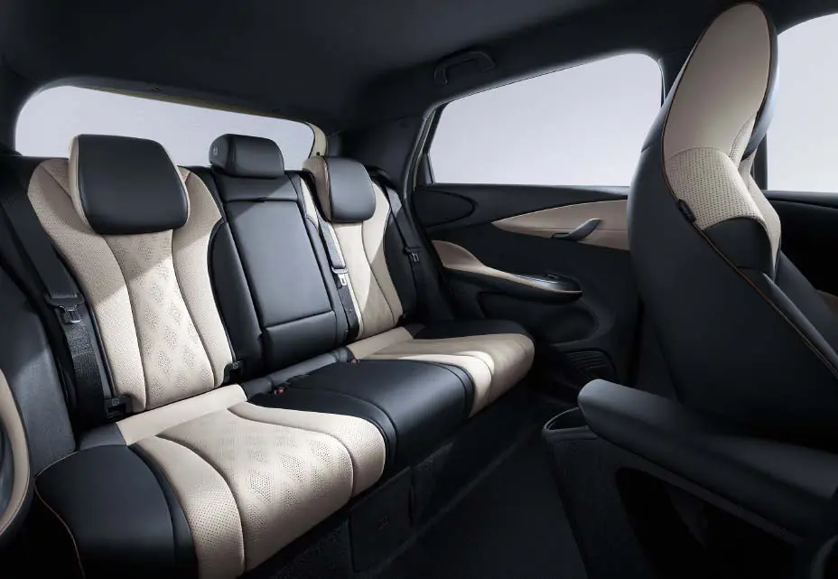 dolphin interior 02 xl