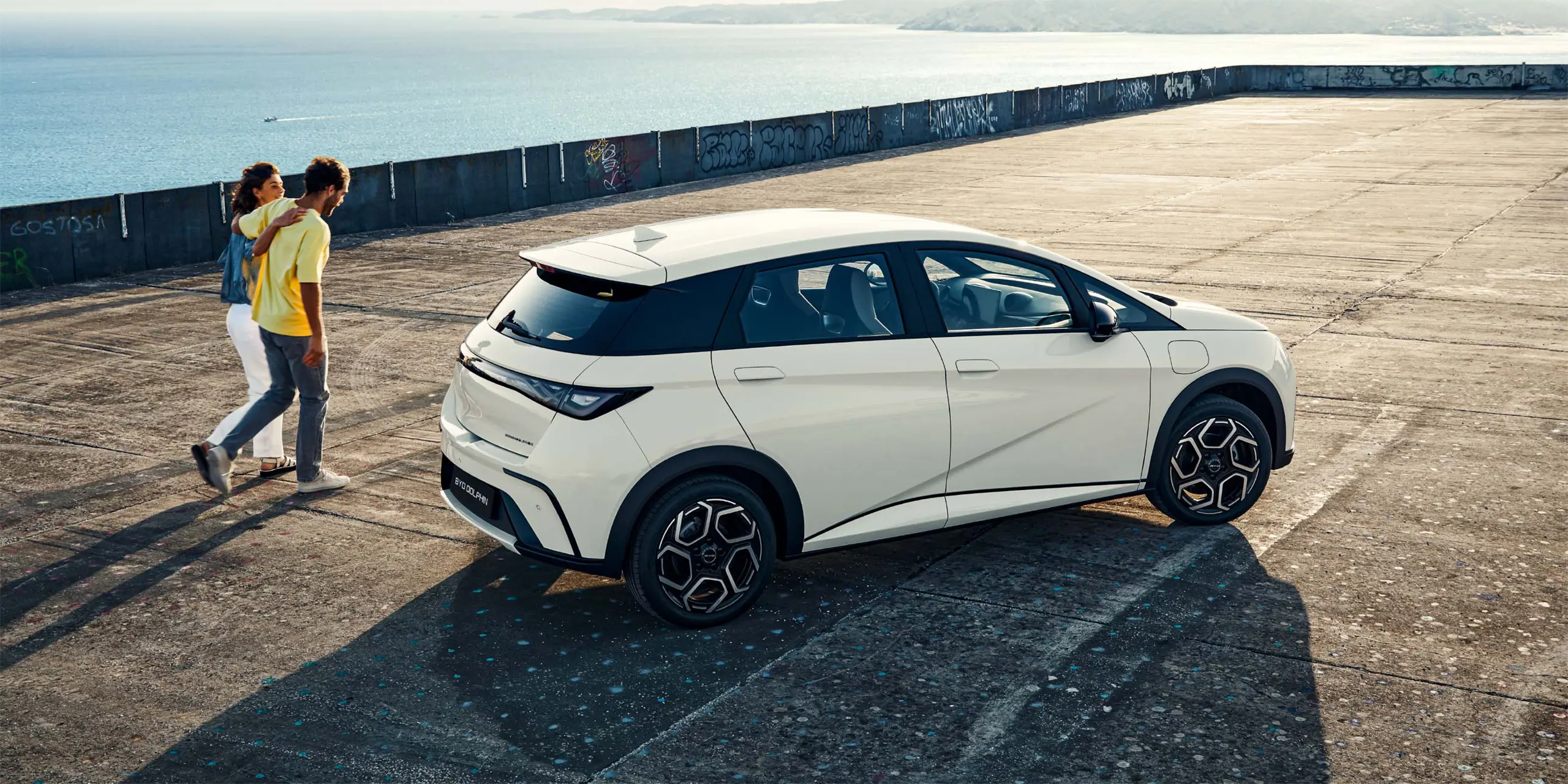 dolphin safety 01 xl