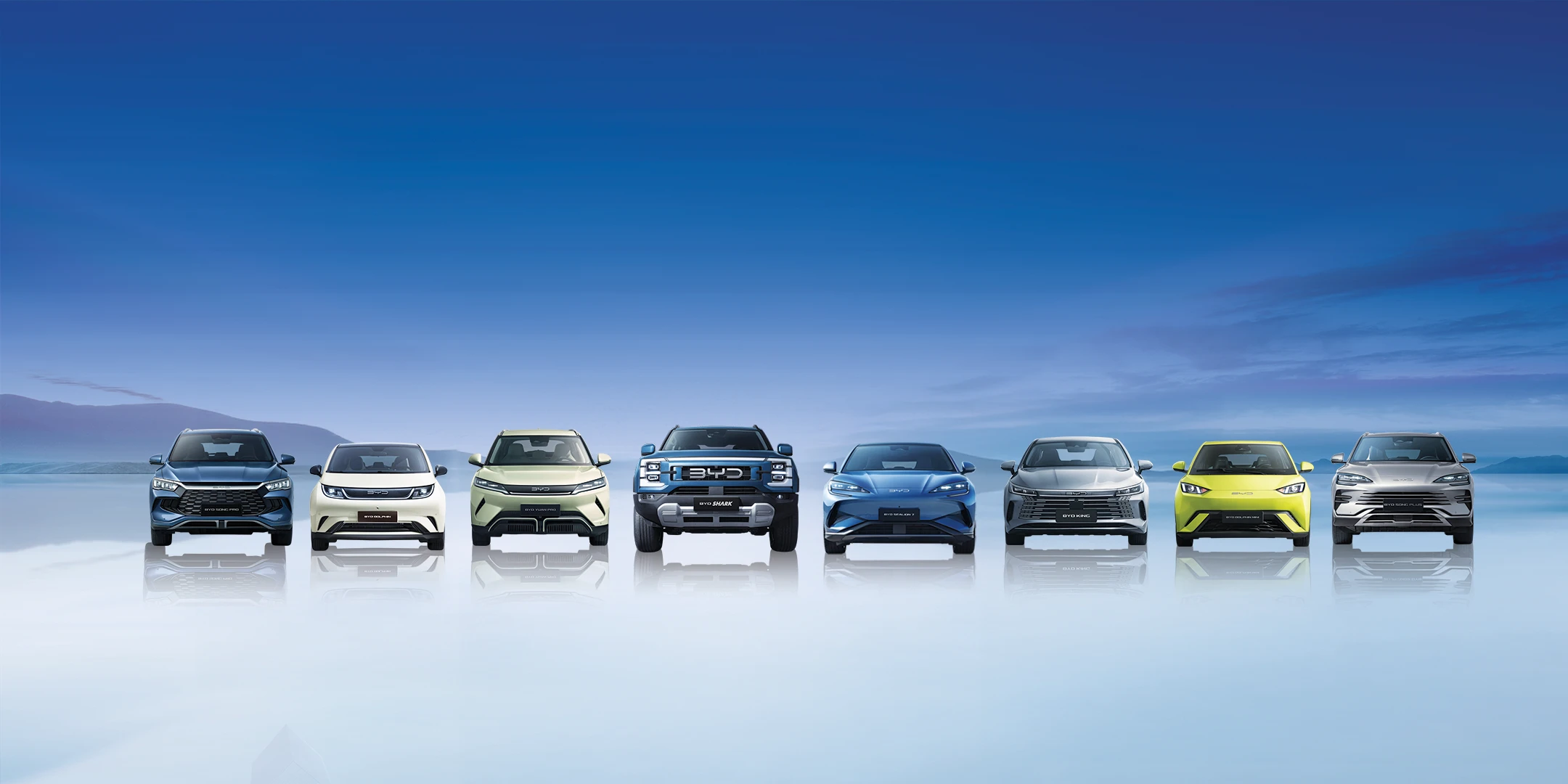 byd dolphin surf top